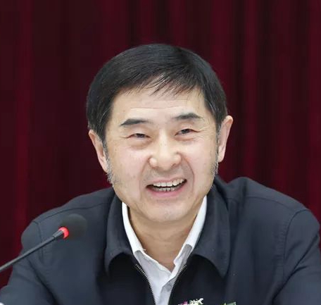 罗杨：?；ここ?，一张老照片背后的故事